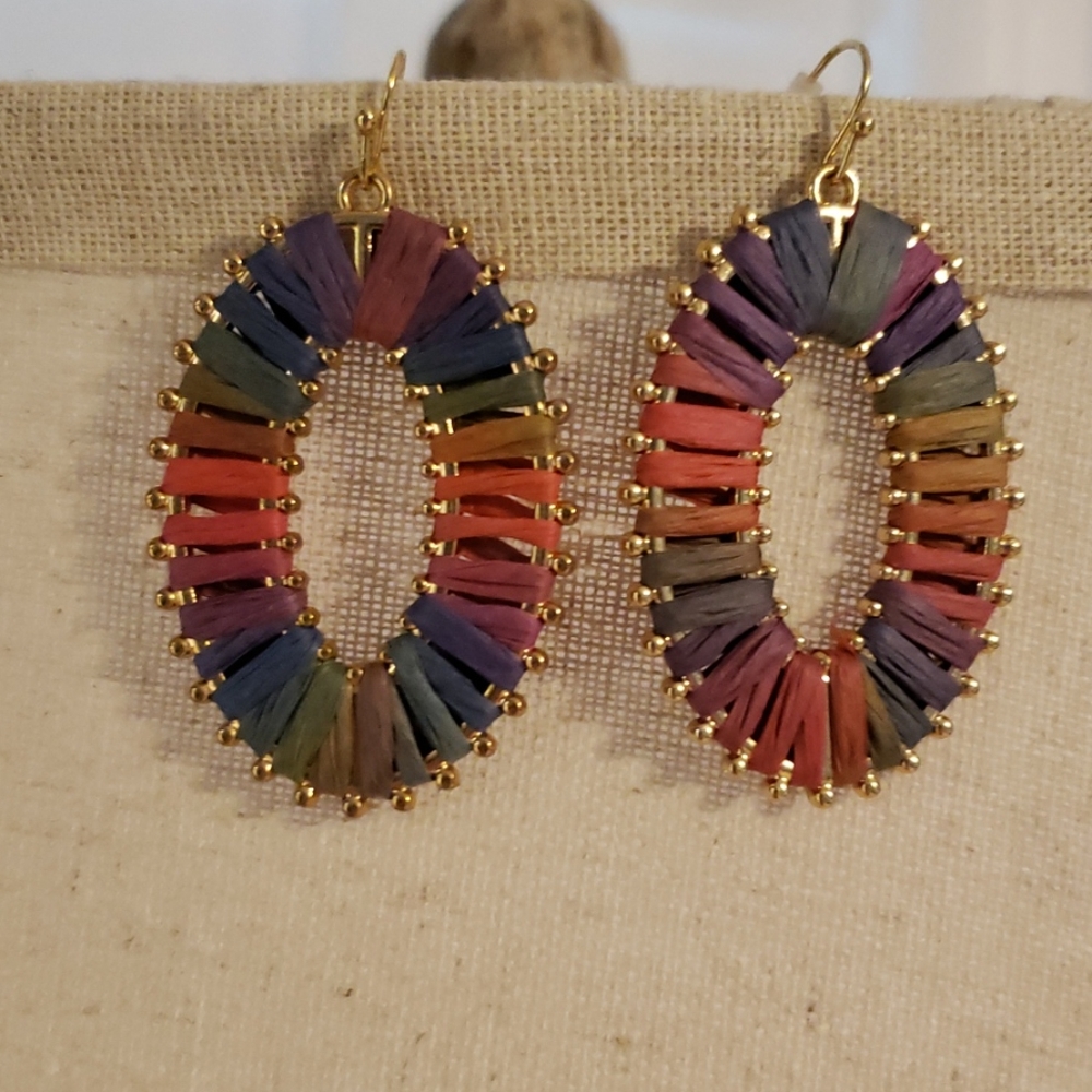 Multi Colored Earrings